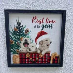 Quadro Pet decorativo 30x30cm