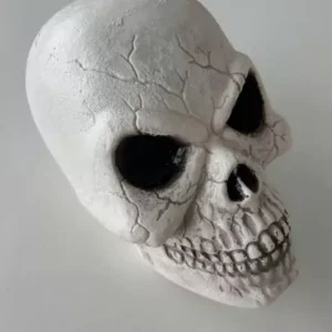 Cabeça caveira plástico