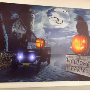 Quadro iluminado Corvo 60x40cm com led.