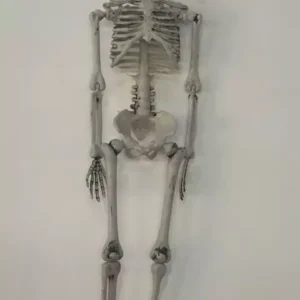 Esqueleto faca na cabeça 40cm