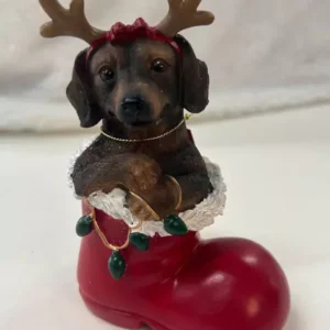 Resina Cachorro na bota