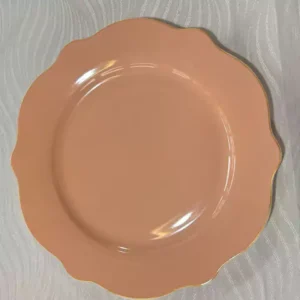 Kit com 6 pratos rasos salmão