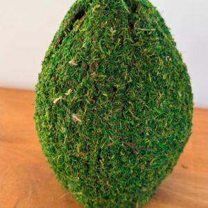 Ovo de musgo decorativo 14x14x20cm