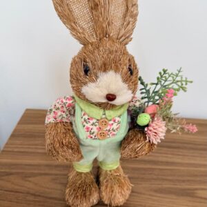 Coelho rústico macacão verde 31cm