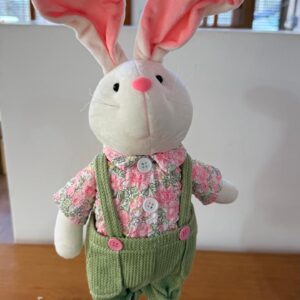 Coelho com roupa florida 51cm