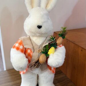 Coelho casaco xadrez laranja 54cm