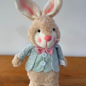 Coelho roupa verde e rosa 40cm
