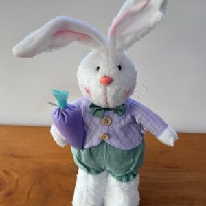 Coelho roupa verde e lilás 43cm