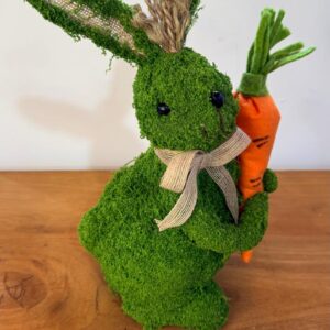 Coelho musgo com cenoura 35cm