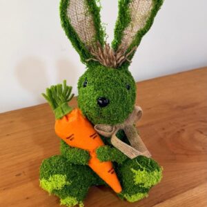 Coelho musgo com cenoura 32cm