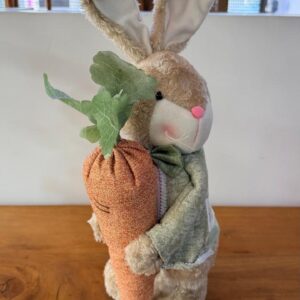 Coelho roupa verde com cenoura 54cm