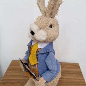Coelho roupa xadrez amarela e livro 42cm