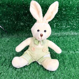 Coelho roupa xadrez verde 22x14x14cm