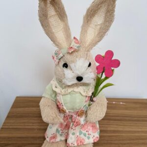 Coelha natural vestido florido camisa verde 34cm
