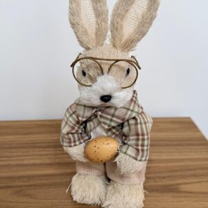 Coelho roupa xadrez com óculos 26cm