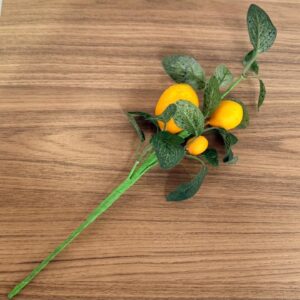 Galho de limão siciliano 35cm