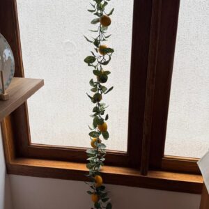 Galho limão siciliano 1,80cm