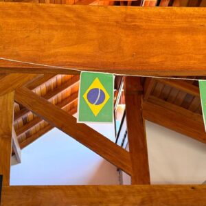 Bandeirinhas Brasil TNT 5m