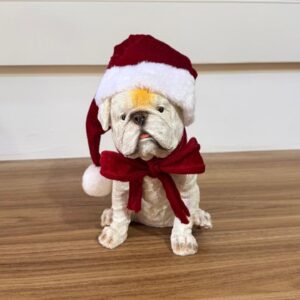 Buldogue resina com gorro e laço 20cm