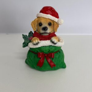 Cachorro no saco presente verde resina 15cm