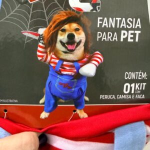 Fantasia Chucky para pets